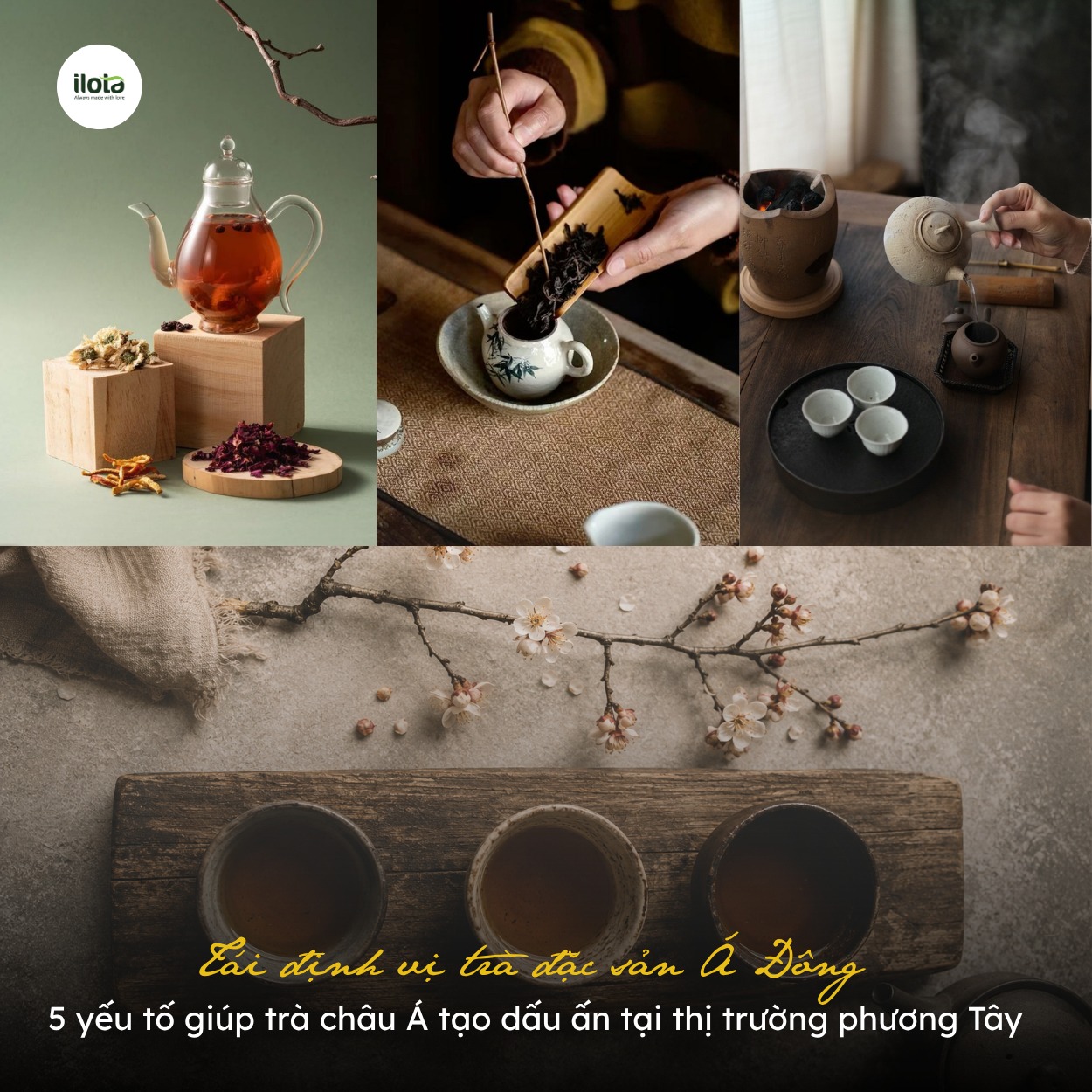 tai-dinh-vi-tra-dac-san-a-dong