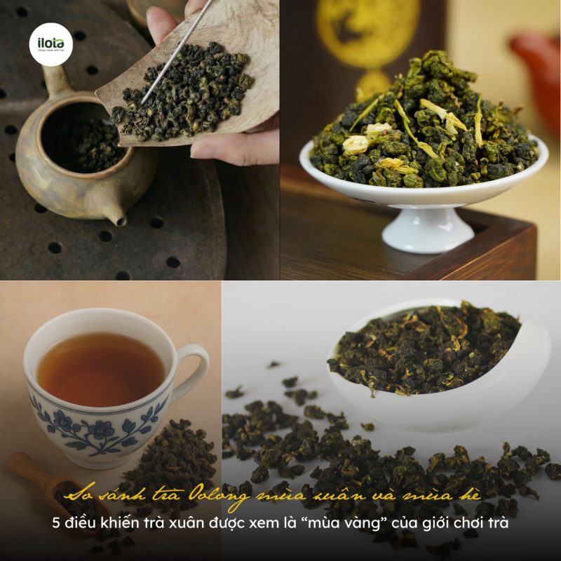 so-sanh-tra-oolong-mua-xuan-va-mua-he