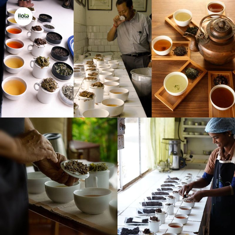dinh-vi-thuong-hieu-tra-dac-san