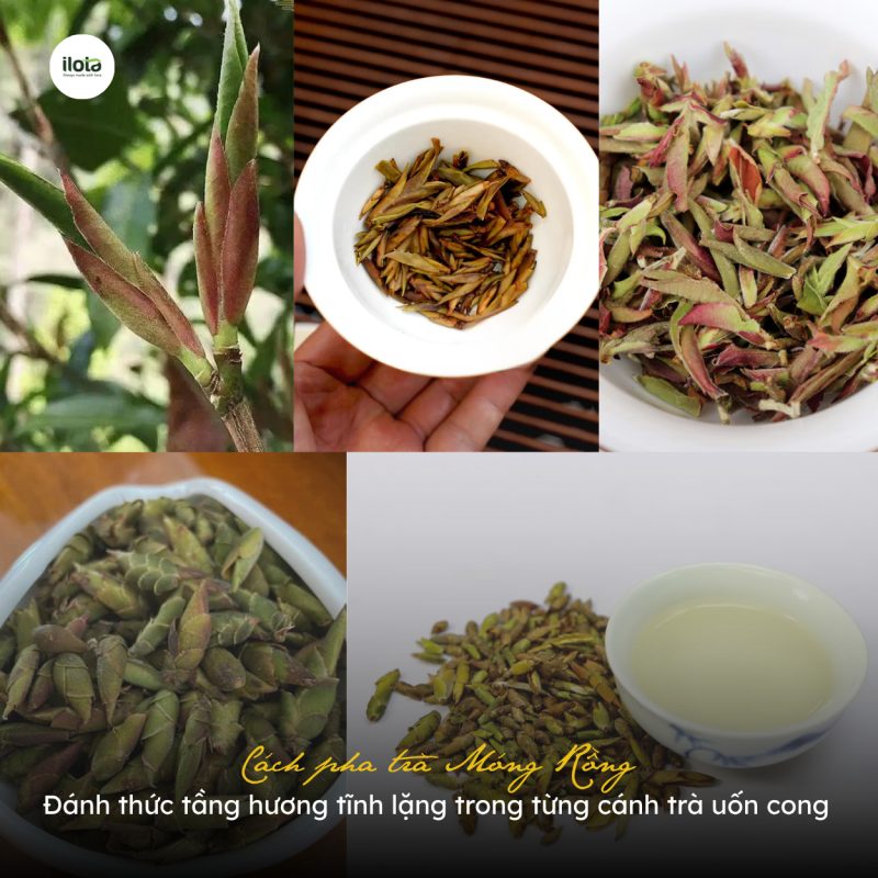 cach-pha-tra-mong-rong
