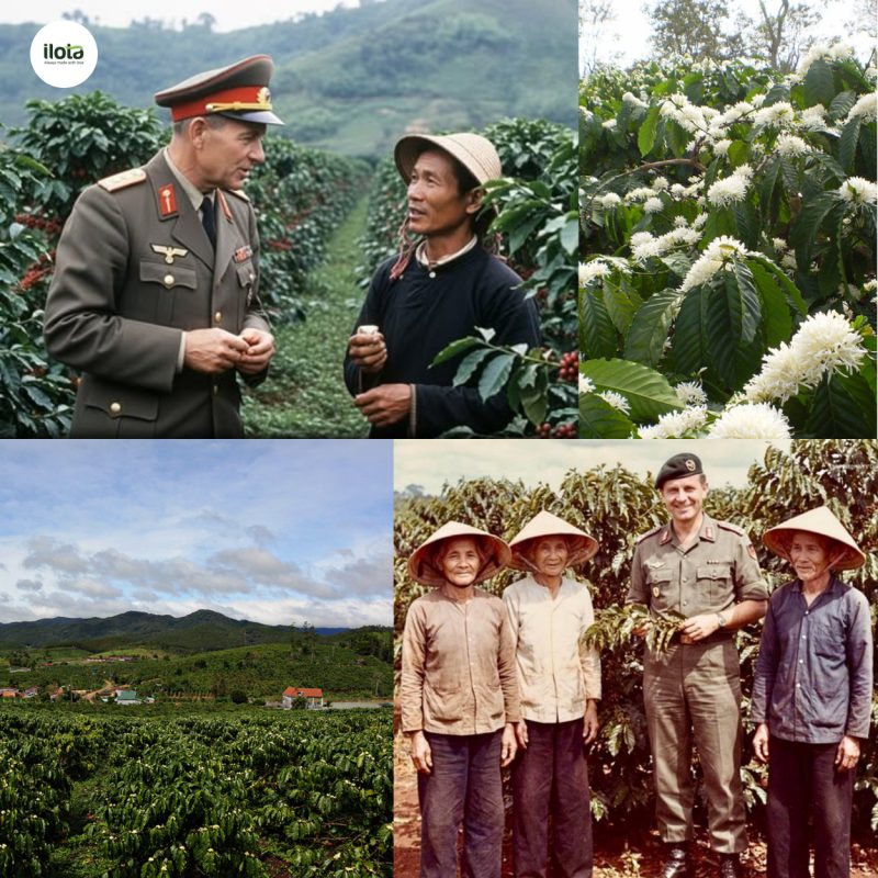 cuoc-bao-loan-ca-phe-dong-duc-kaffeekrise-1977