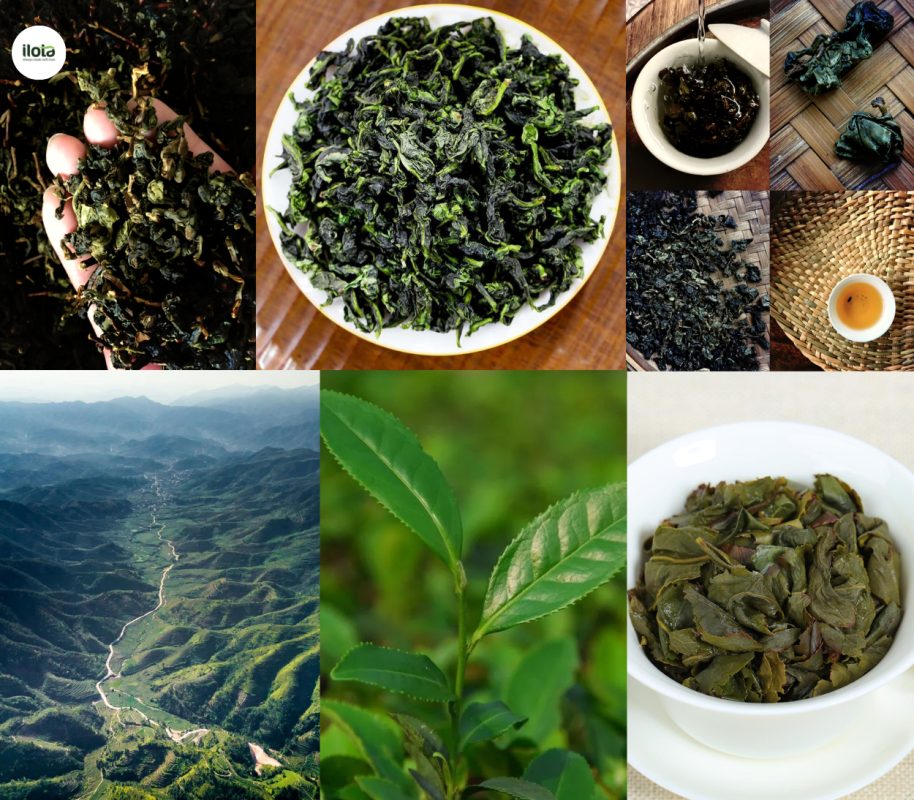 cac-giong-tra-oolong-kinh-dien
