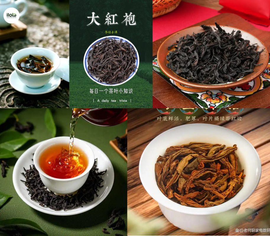cac-giong-tra-oolong-kinh-dien