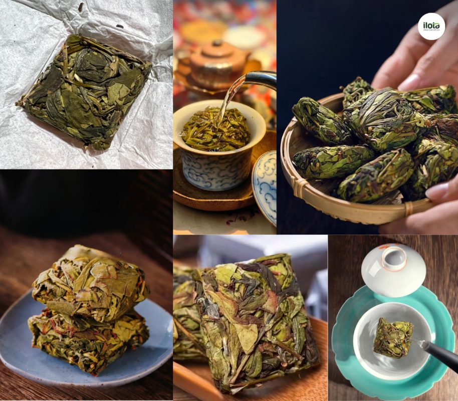 cac-giong-tra-oolong-kinh-dien