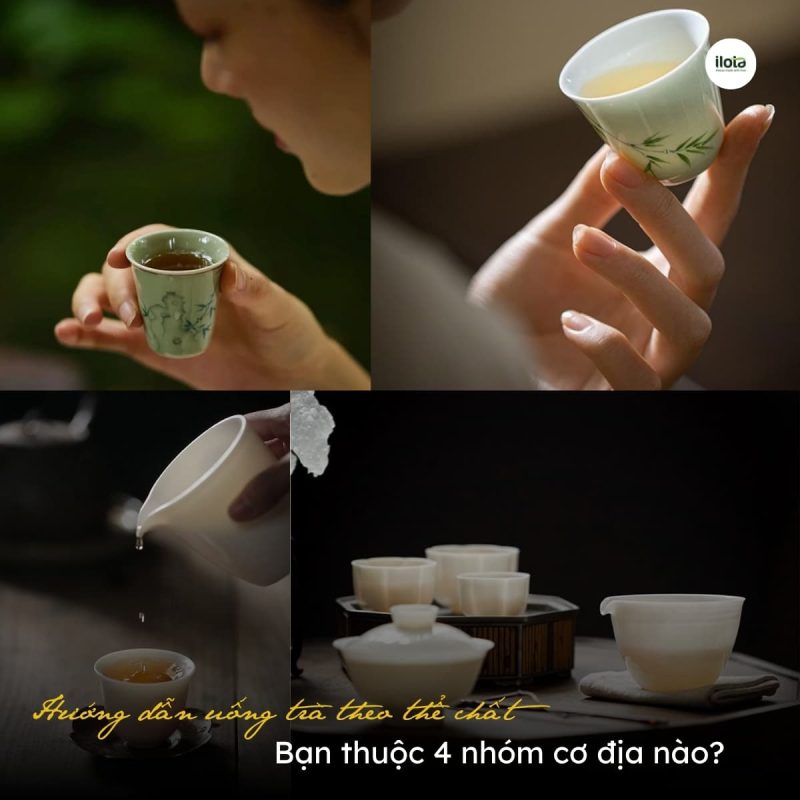 huong-dan-uong-tra-theo-the-chat