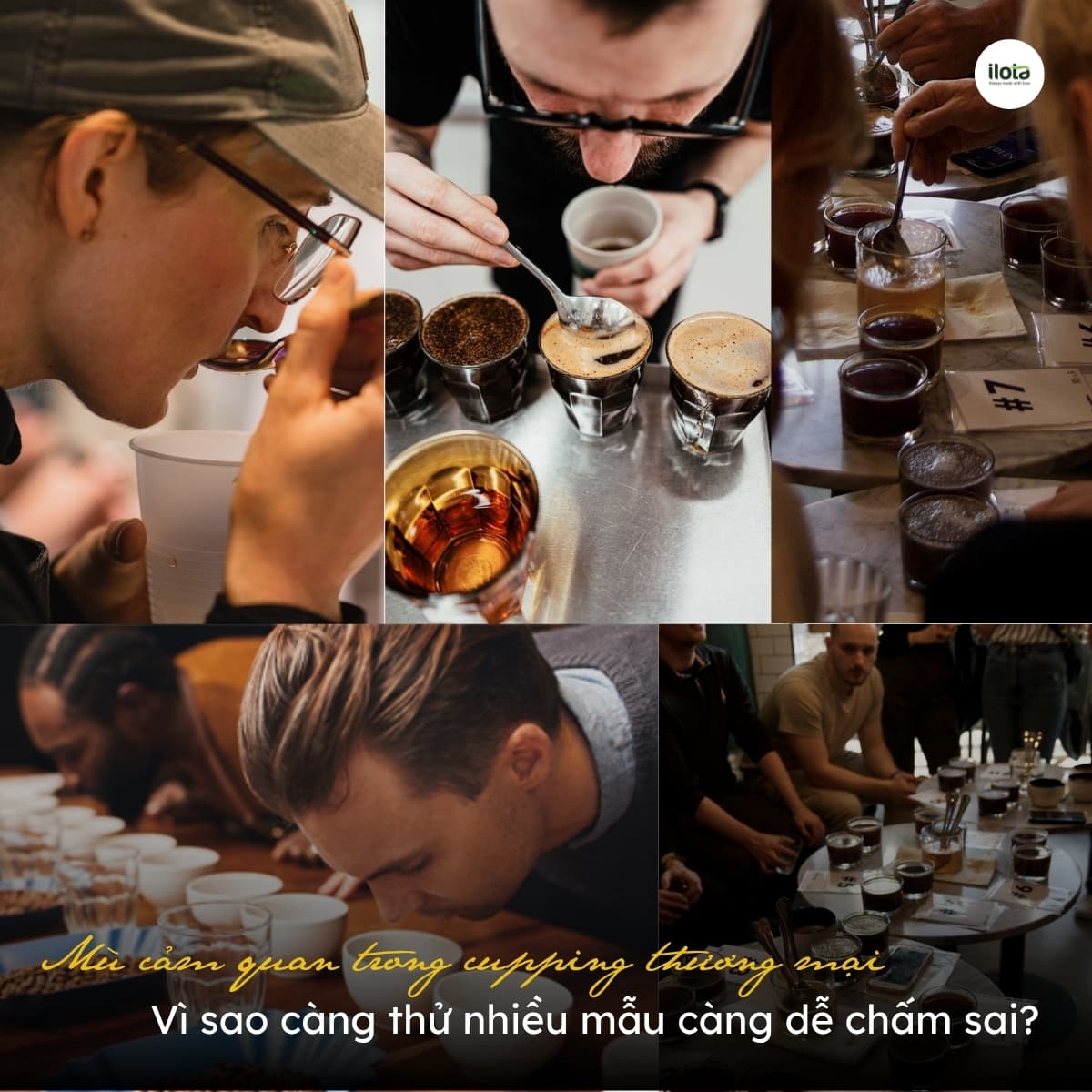 mu-cam-quan-trong-cupping-thuong-mai