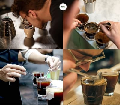 Mù cảm quan trong cupping thương mại