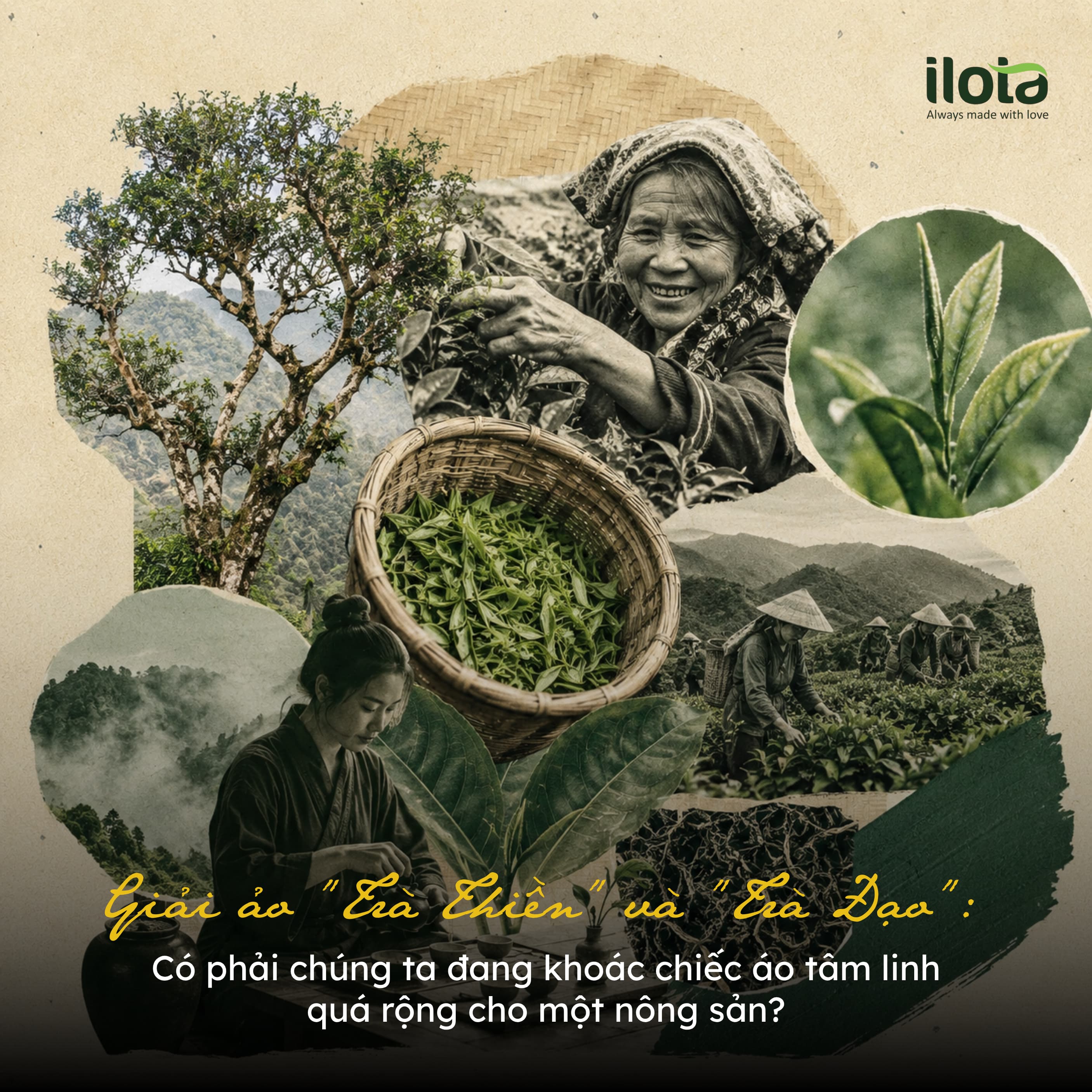 giai-ao-tra-thien-va-tra-dao-ao-rong-cho-nong-san