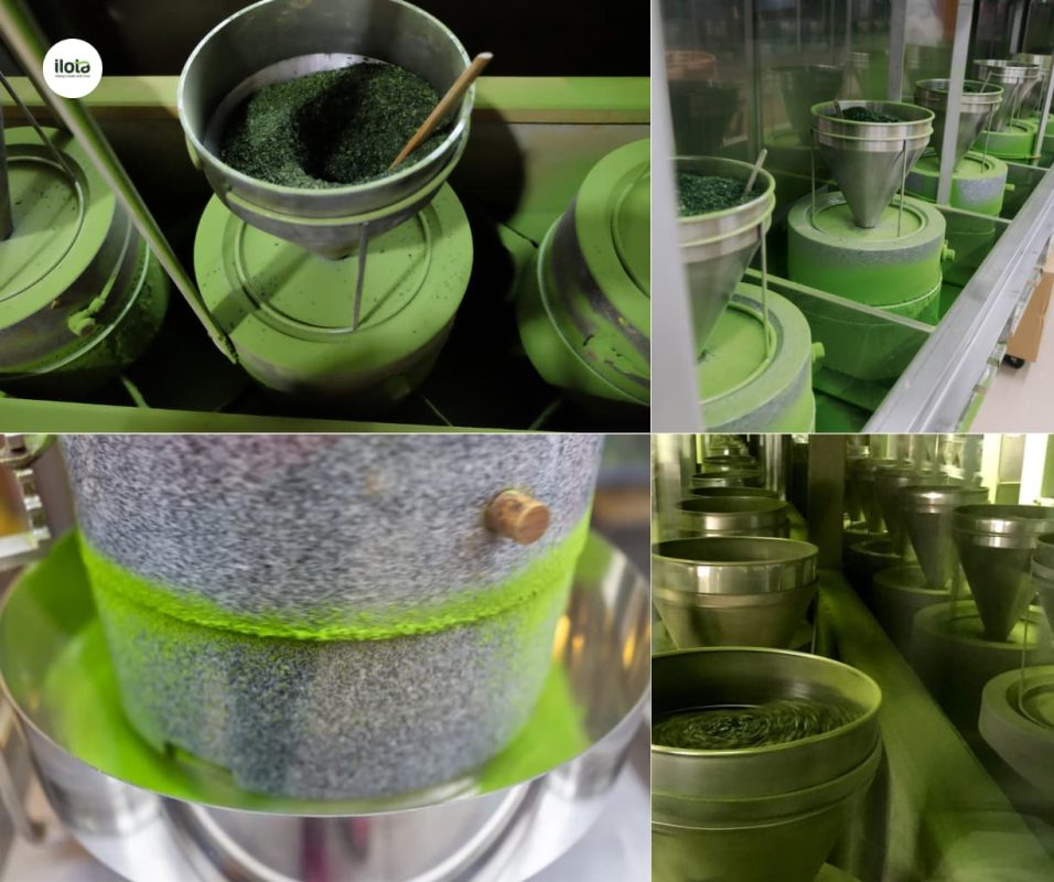 phan-tich-tinh-trang-khan-hiem-matcha-toan-cau