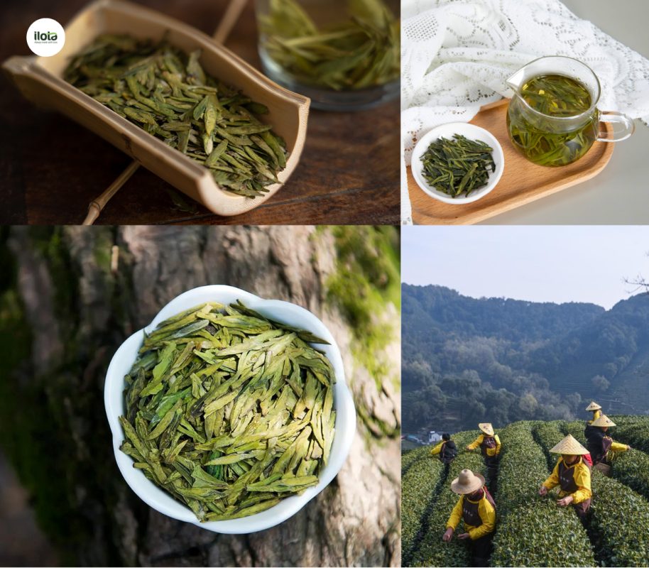 tra-tay-ho-long-tinh-tinh-hoa-tra-xanh