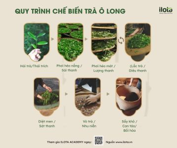 dac-diem-tra-oolong-rang-khoi