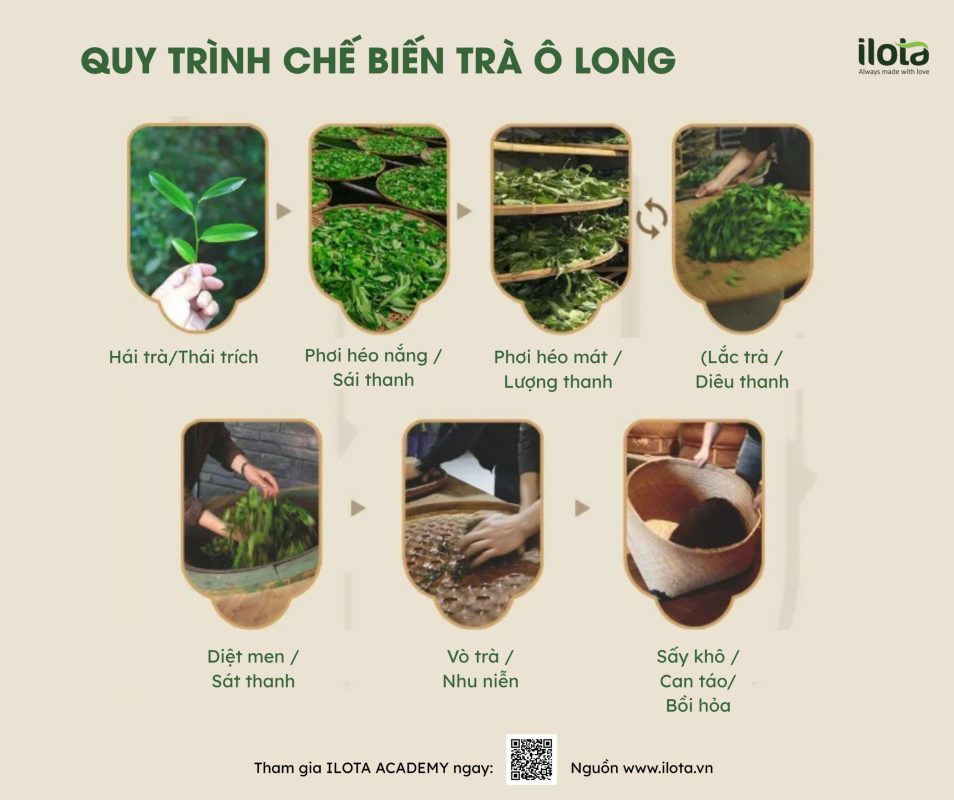 Nhu Niễn là gì? 