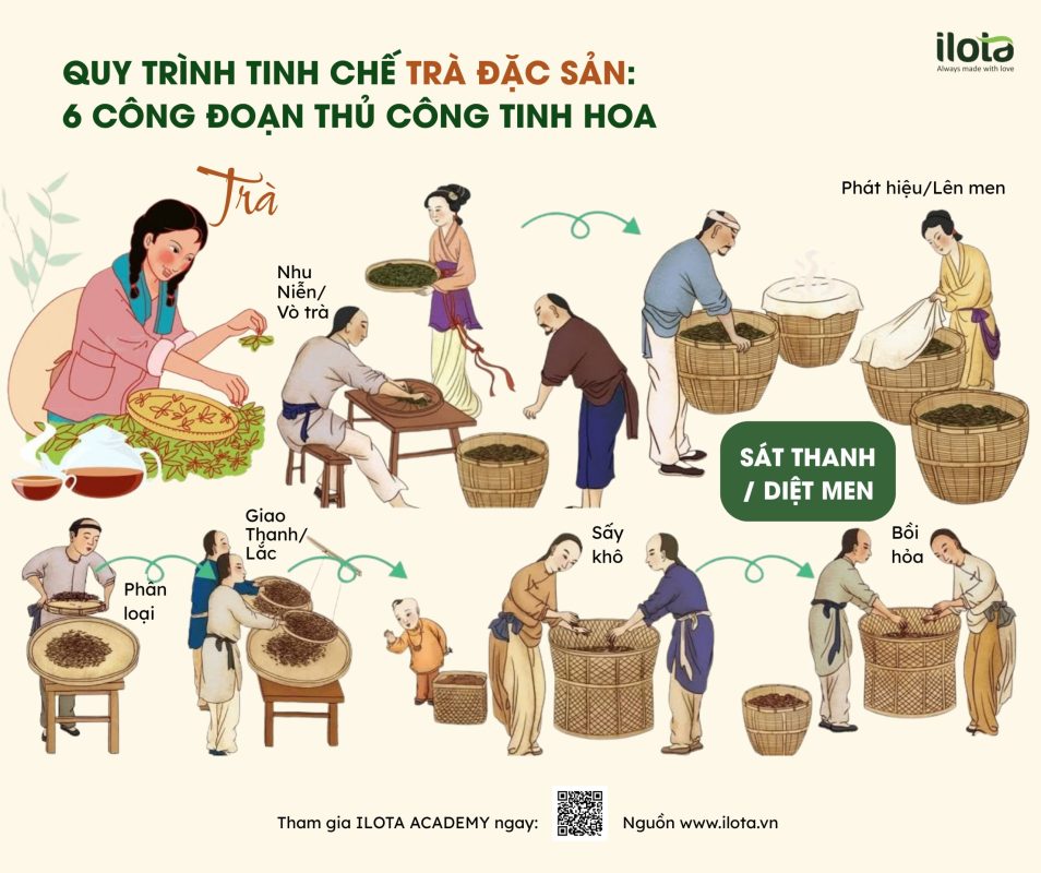 Nhu Niễn là gì? 