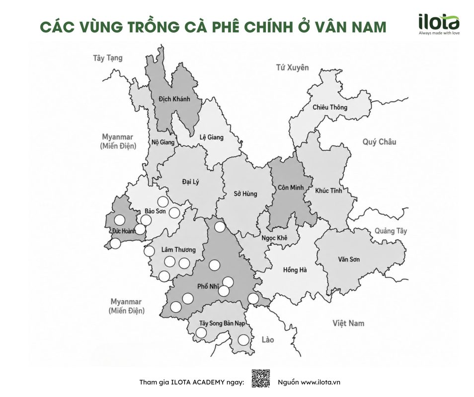 lich-su-ca-phe-trung-quoc