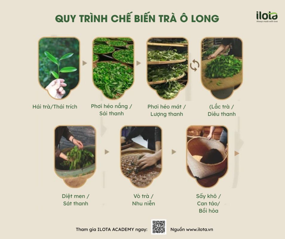 bon-son-oolong