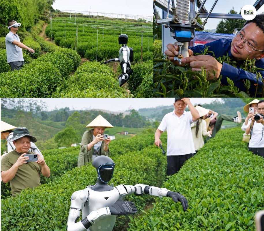 robot-hai-tra-trung-quoc