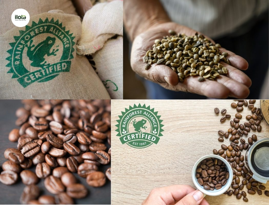 quy-trinh-chung-nhan-rainforest-alliance