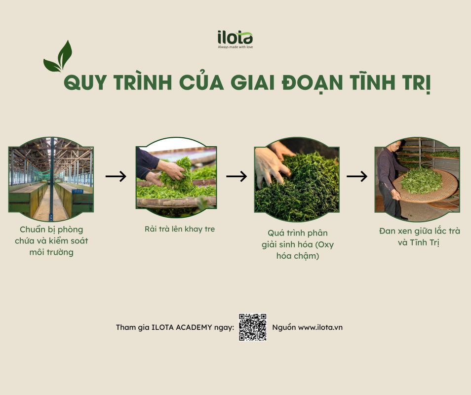 tinh-tri-la-gi-5-yeu-to-quyet-dinh-huong-vi-tra