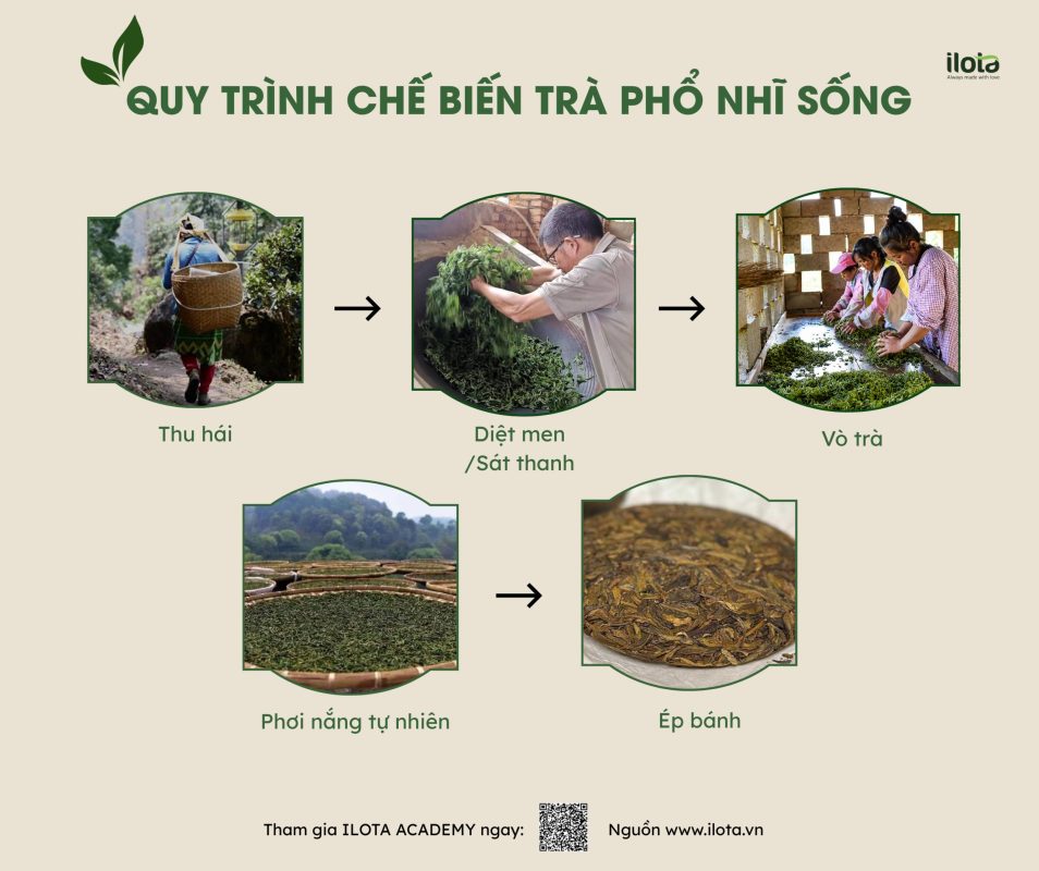 cach-pha-tra-pho-nhi-song-cho-quan