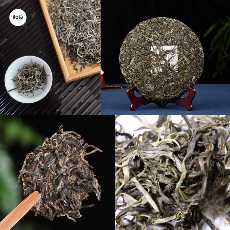 cach-pha-tra-pho-nhi-song-cho-quan
