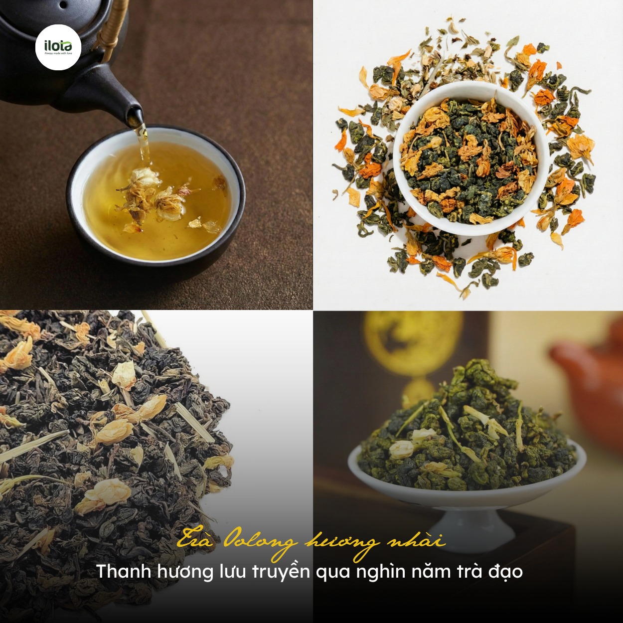 cach-u-tra-oolong-huong-nhai