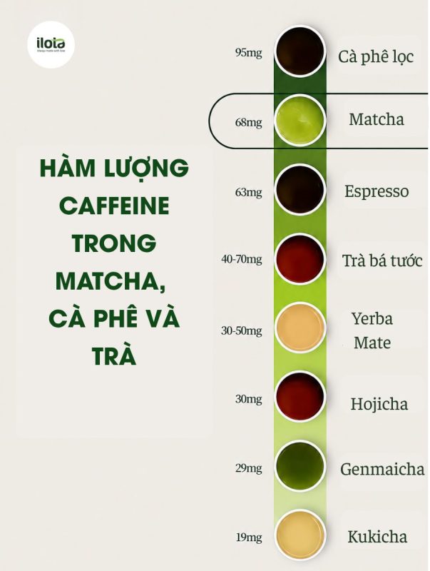 so-sanh-caffeine-trong-ca-phe-tra-va-matcha