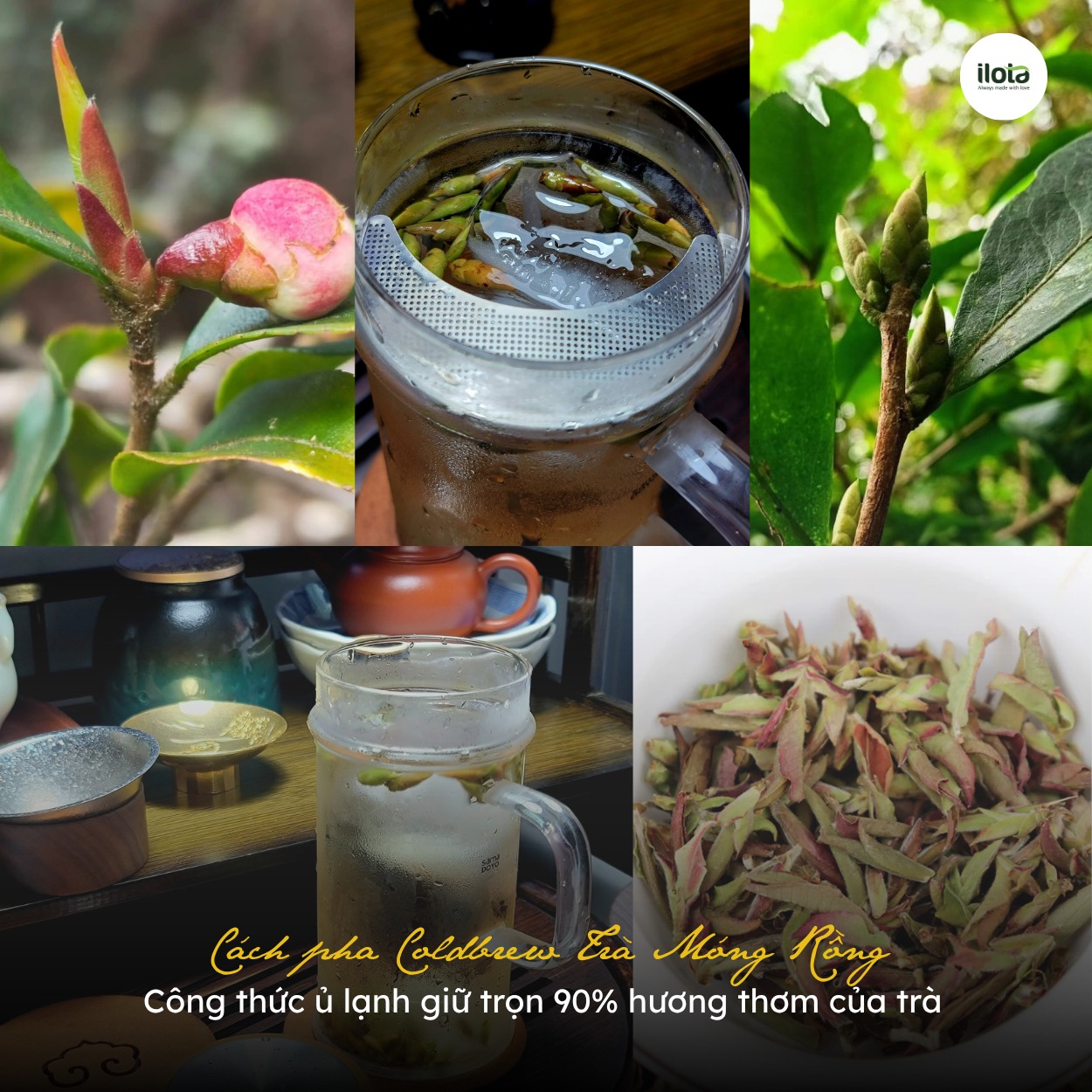 cach-pha-cold-brew-tra-mong-rong