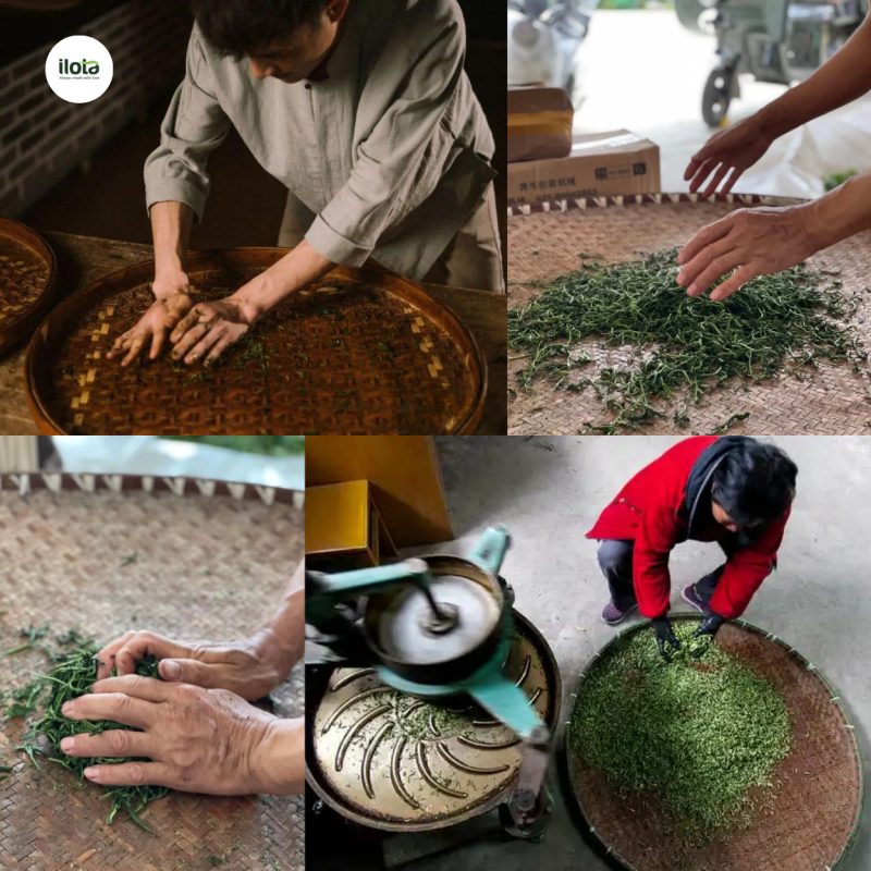 Nhu Niễn là gì? 