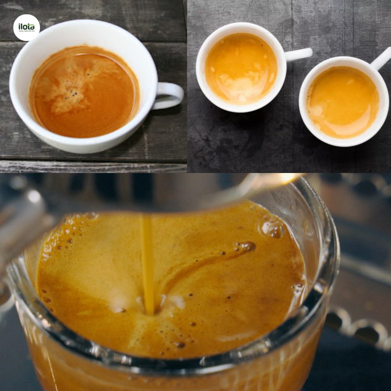 cach-chon-hat-ca-phe-cho-crema-day