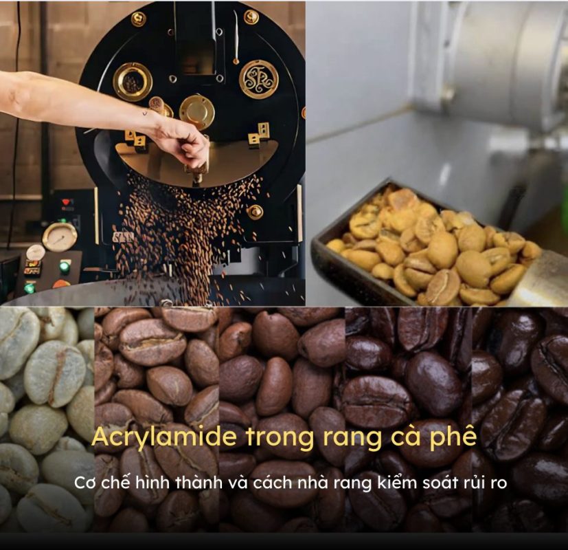 acrylamide-trong-rang-ca-phe