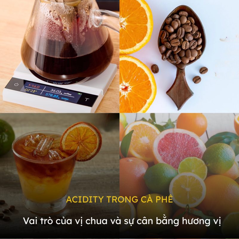 acidity-trong-ca-phe