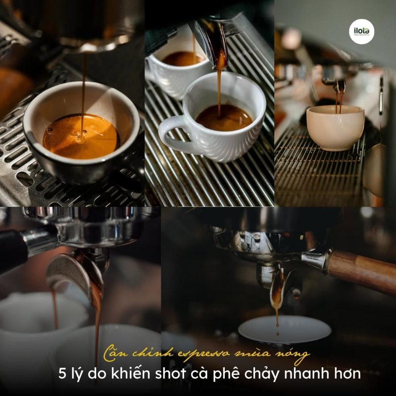 can-chinh-espresso-mua-nong