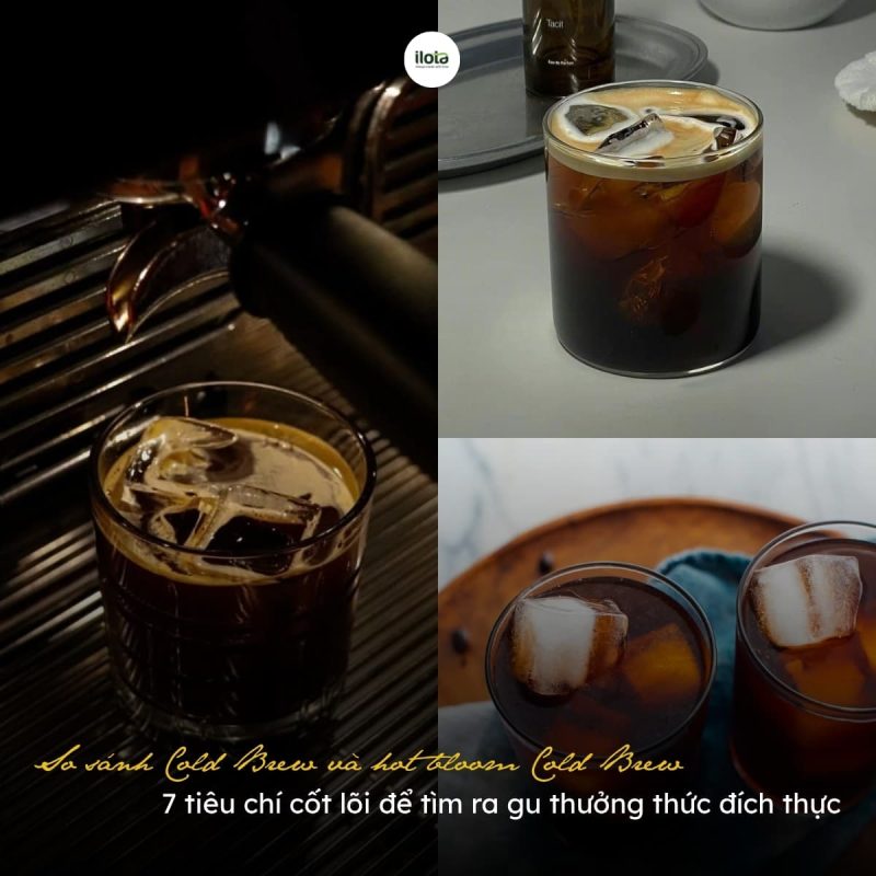 So sánh Cold Brew và hot bloom Cold Brew: 7 tiêu chí cốt lõi để tìm ra gu thưởng thức đích thực