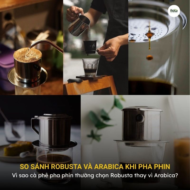 so-sanh-robusta-va-arabica-khi-pha-phin