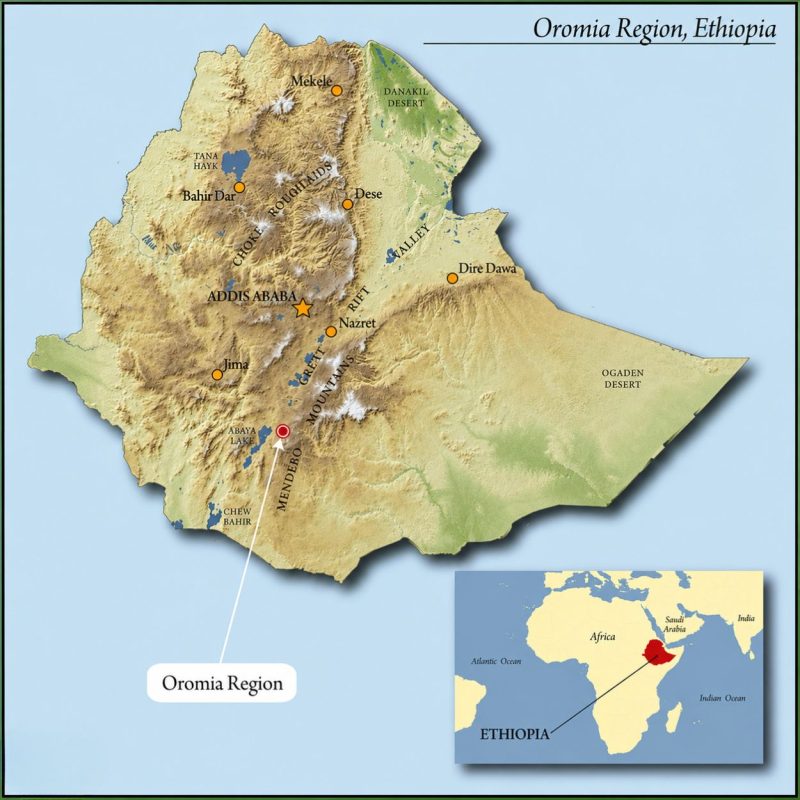 cac-vung-trong-ca-phe-cua-ethiopia