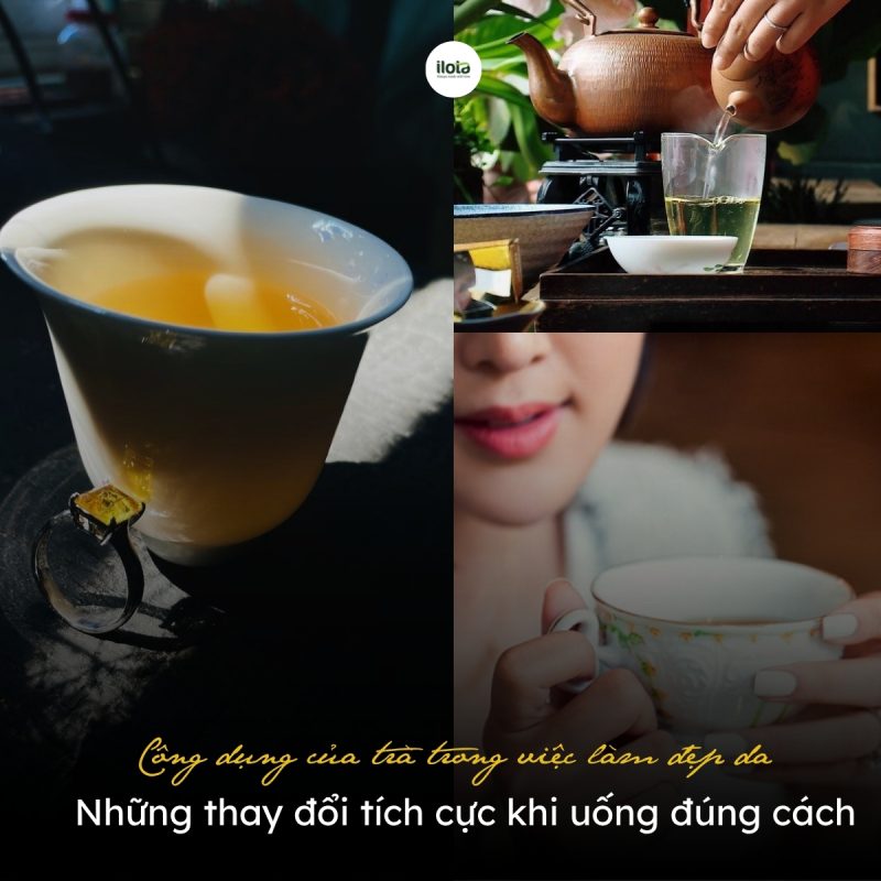 cong-dung-cua-tra-trong-viec-lam-dep-da
