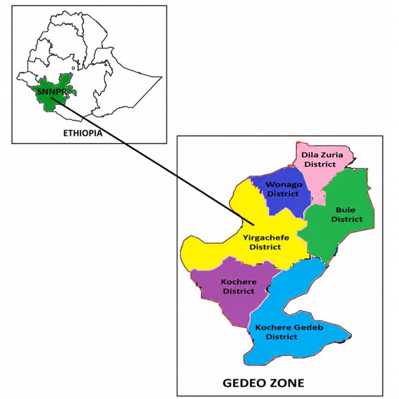 cac-vung-trong-ca-phe-cua-ethiopia