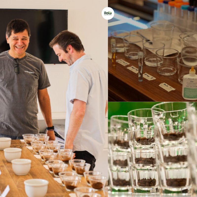 hoa-hoc-nuoc-trong-cupping-ca-phe-dong-vai-tro-gi
