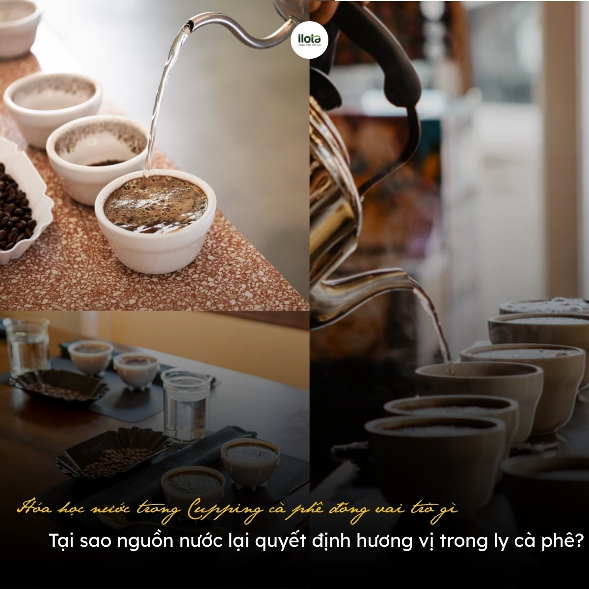 hoa-hoc-nuoc-trong-cupping-ca-phe-dong-vai-tro-gi
