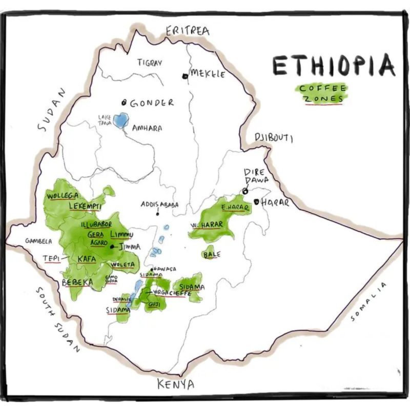cac-vung-trong-ca-phe-cua-ethiopia