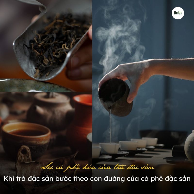 su-ca-phe-hoa-cua-tra-dac-san