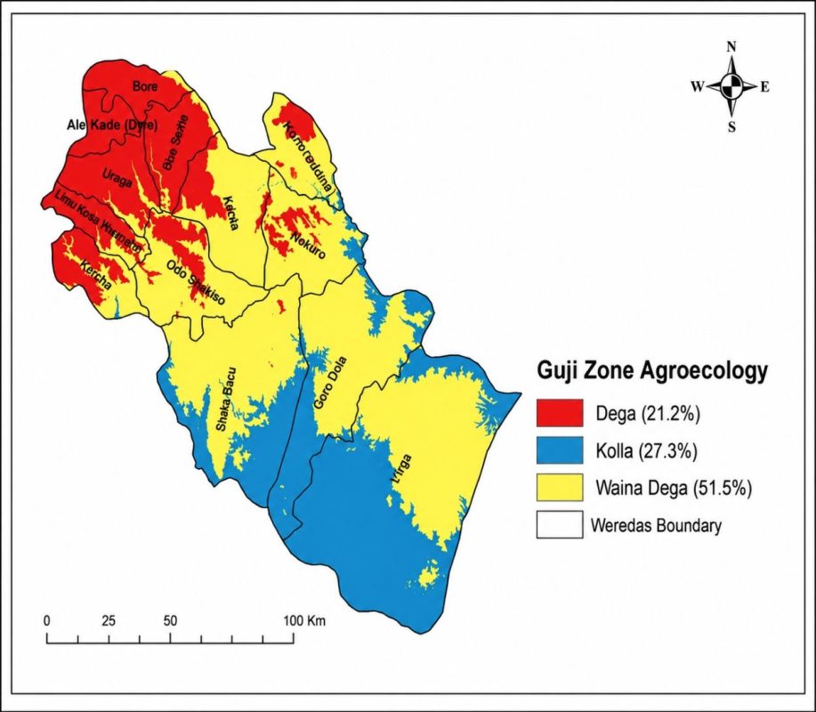 cac-vung-trong-ca-phe-cua-ethiopia