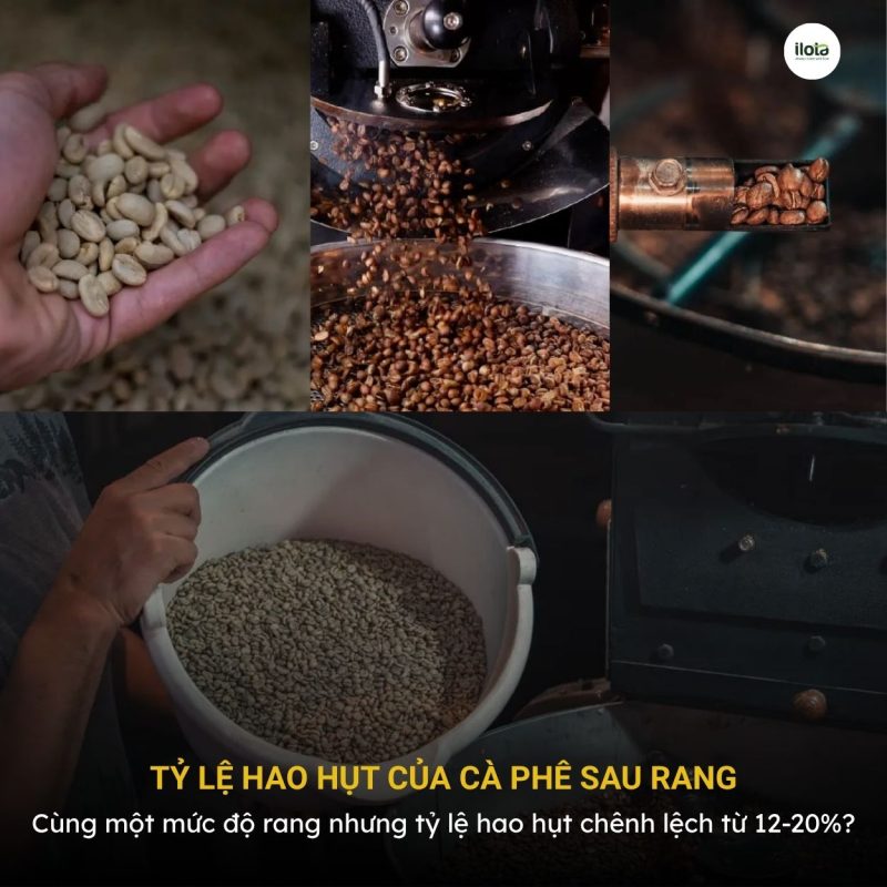 ty-le-hao-hut-cua-ca-phe-sau-rang