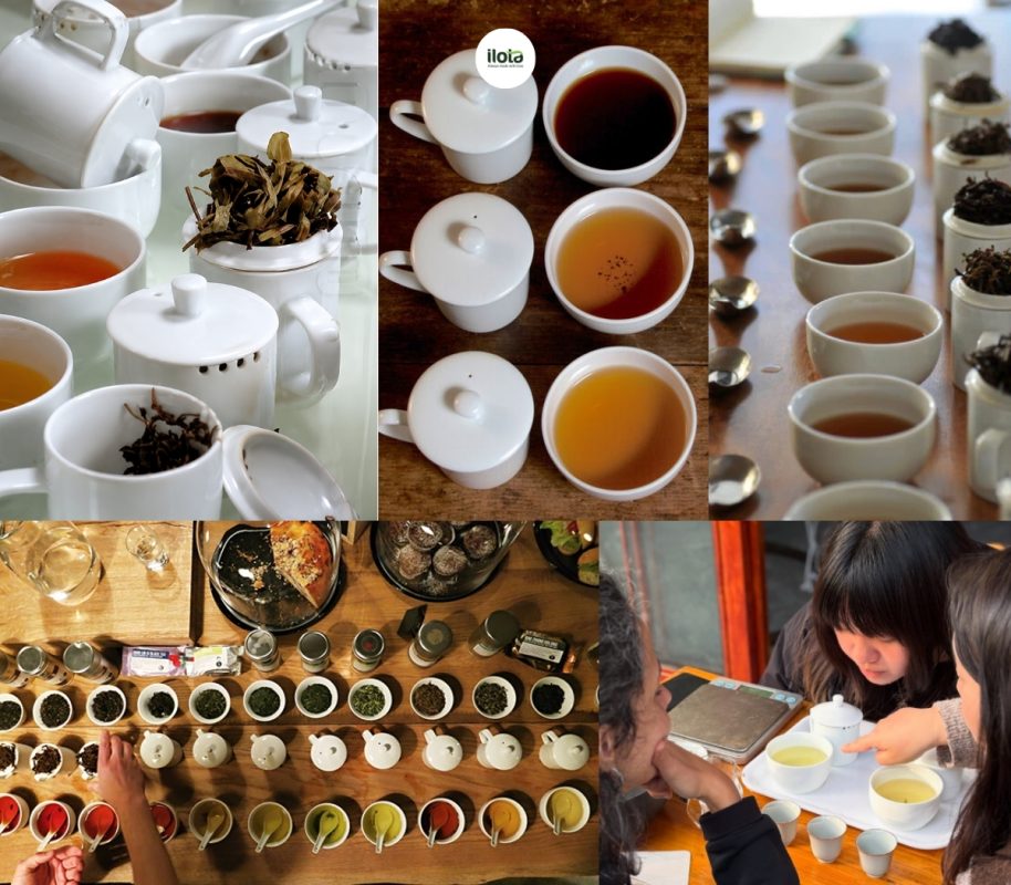 bo-am-tra-thu-nem-tieu-chuan-iso-3103