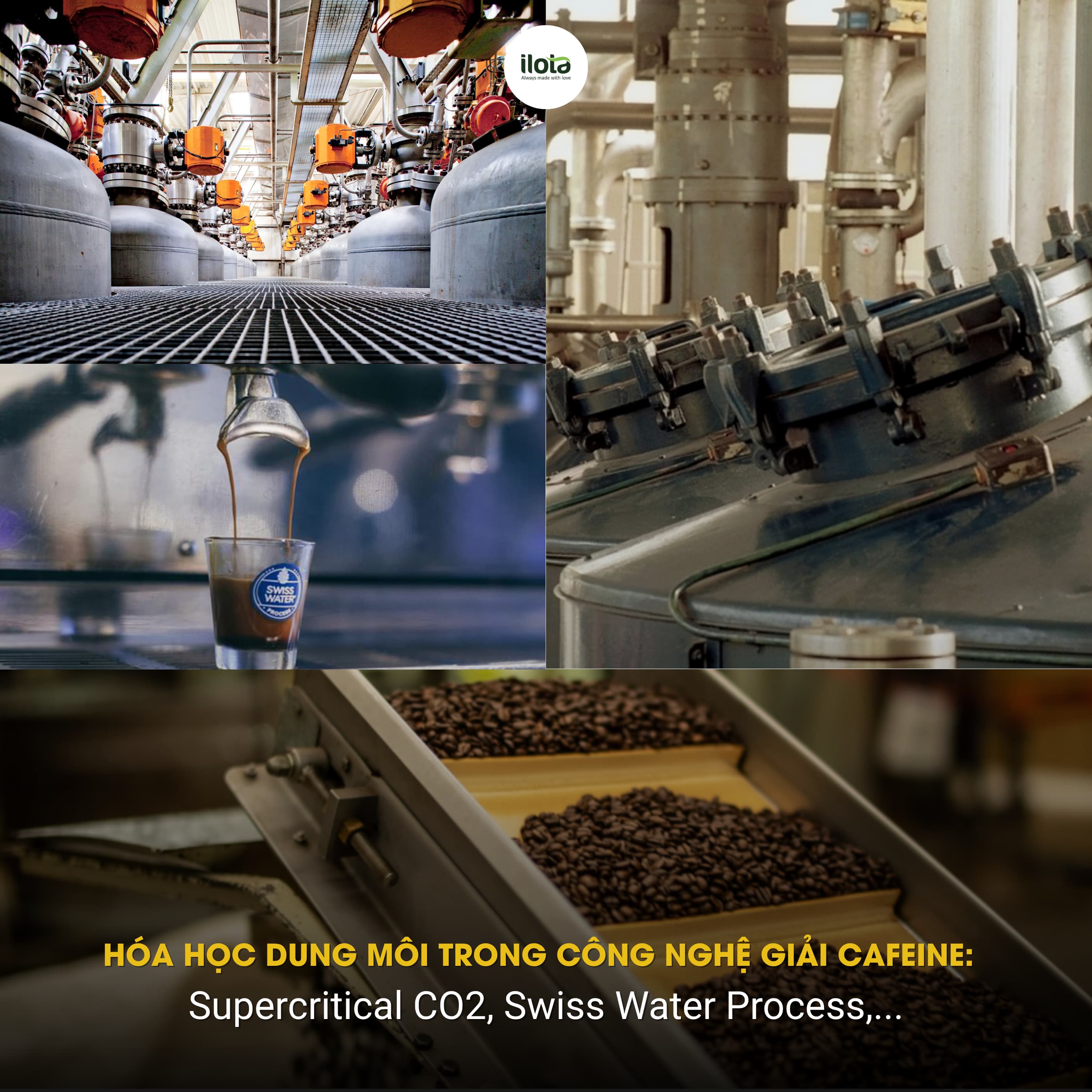 cong-nghe-giai-cafeine-supercritical-co2-swiss-water