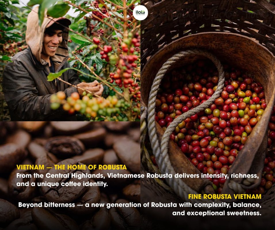 buy-coffee-beans-in-hanoi