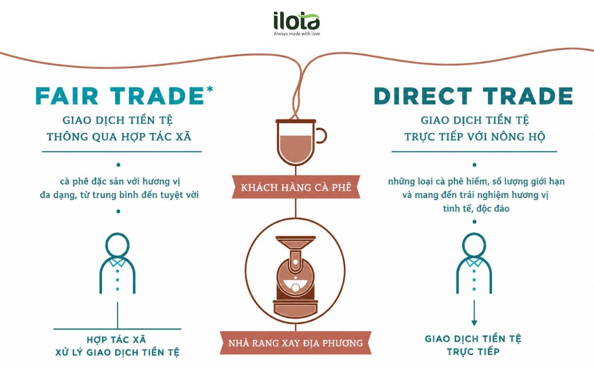 tham-my-hoa-cai-ngheo-mo-hinh-ca-phe-direct-trade