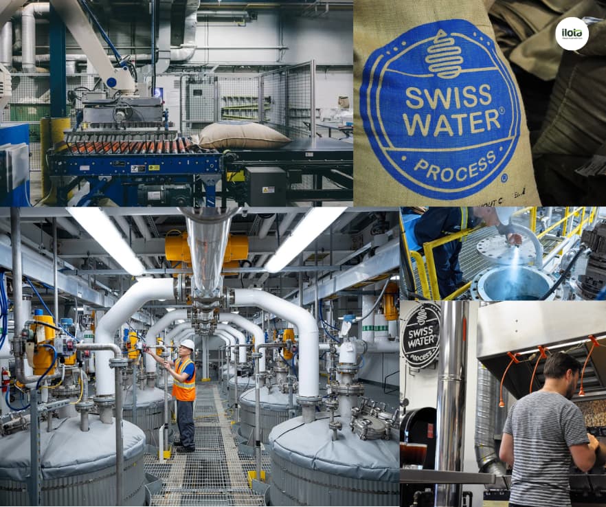 cong-nghe-giai-cafeine-supercritical-co2-swiss-water