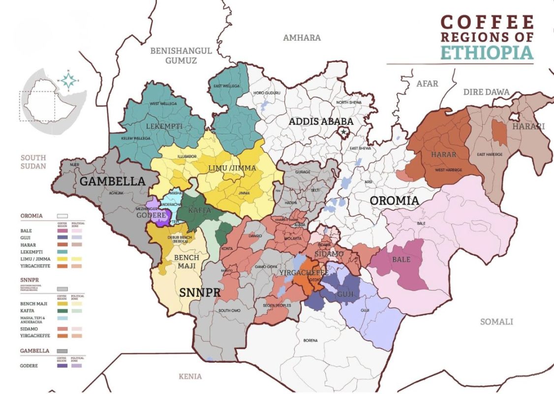so-sanh-ca-phe-ethiopia-natural-va-washed