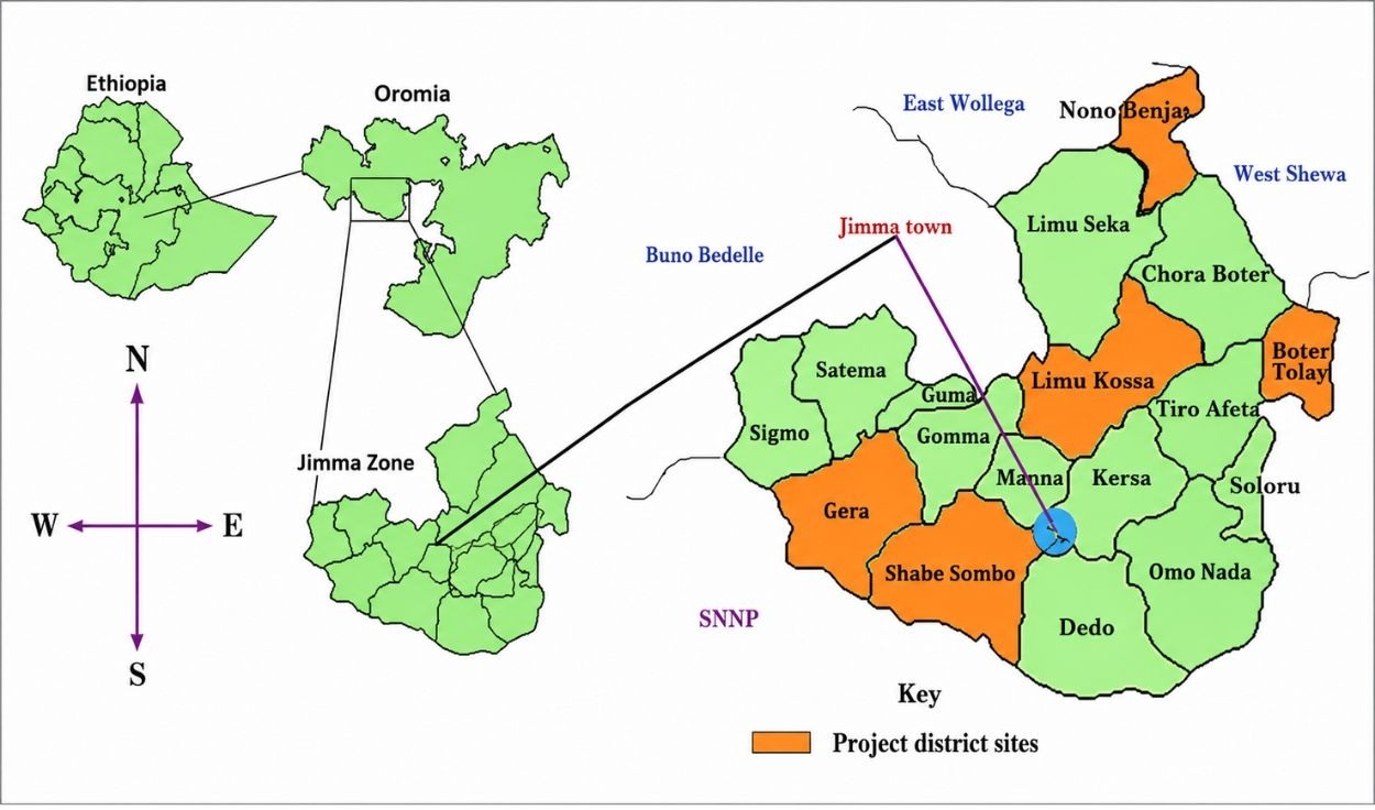 cac-vung-trong-ca-phe-cua-ethiopia